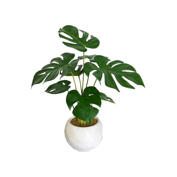 Faux 14in Monstera Plant White Pot